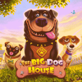 The Big Dog House